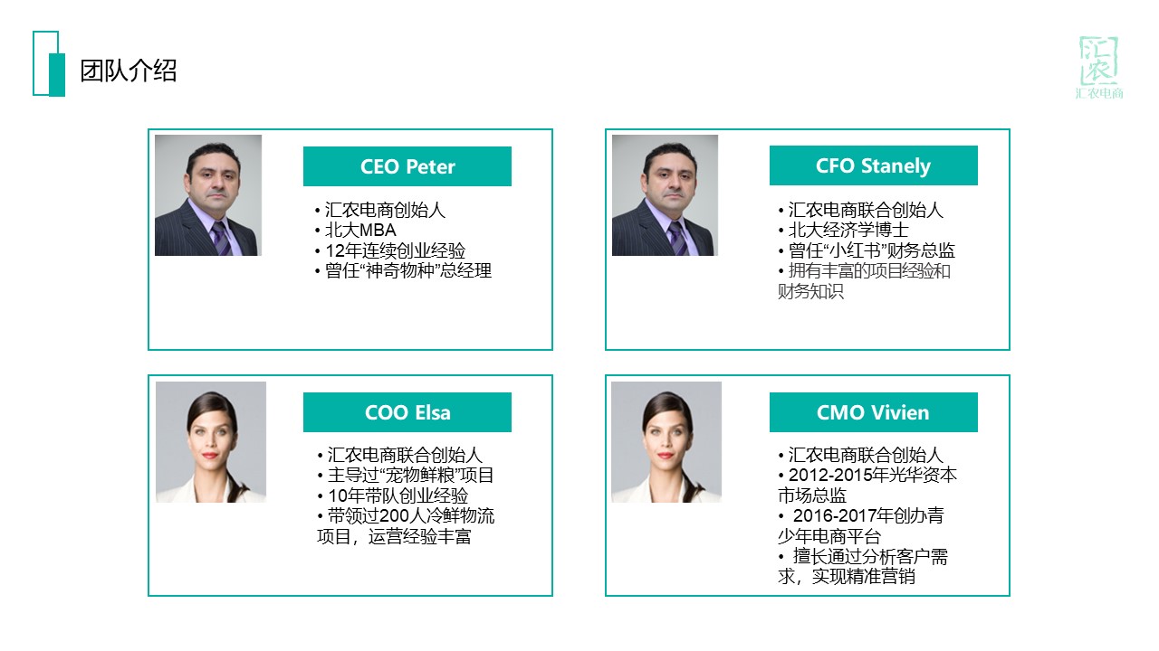 农村电商汇农电商商业计划书BY疯狂BP-undefined