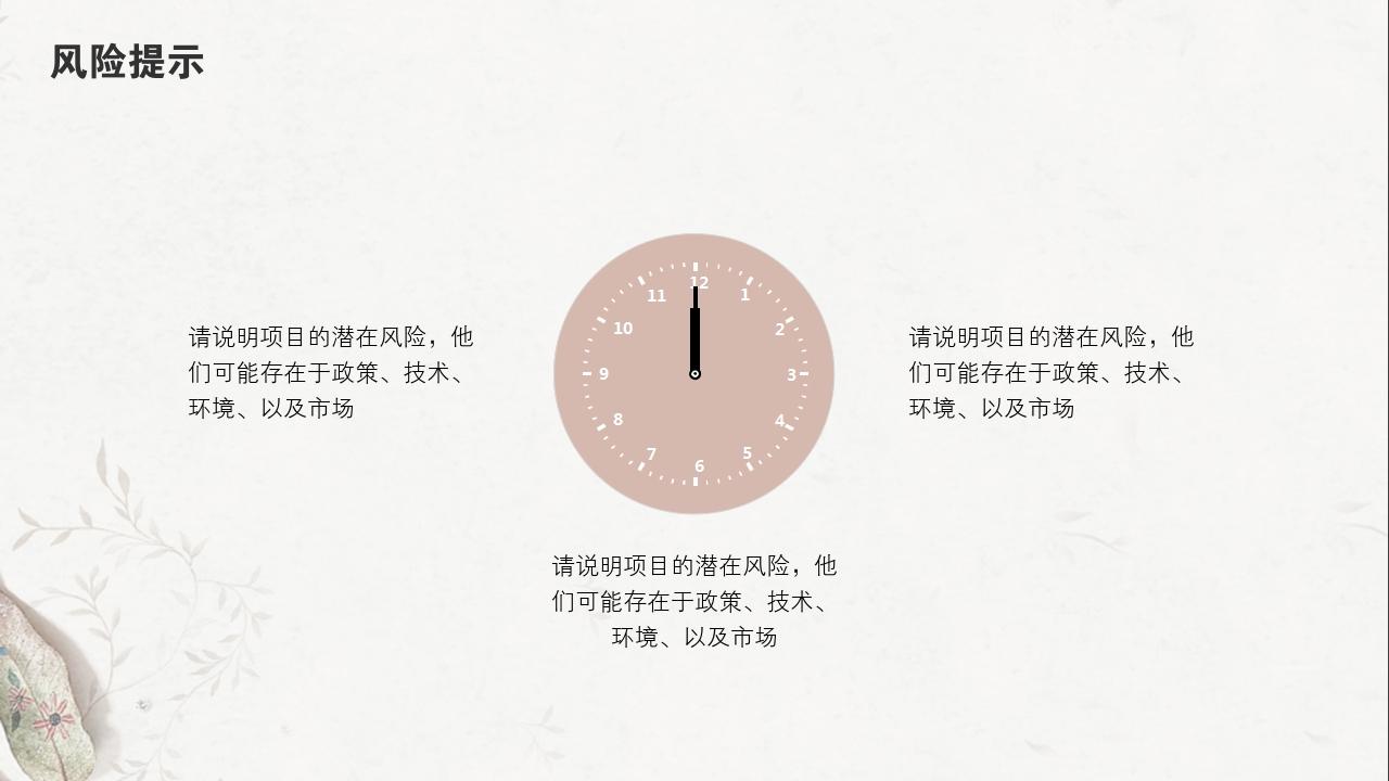 淡红树叶项目可行性研究PPT模版-风险提示