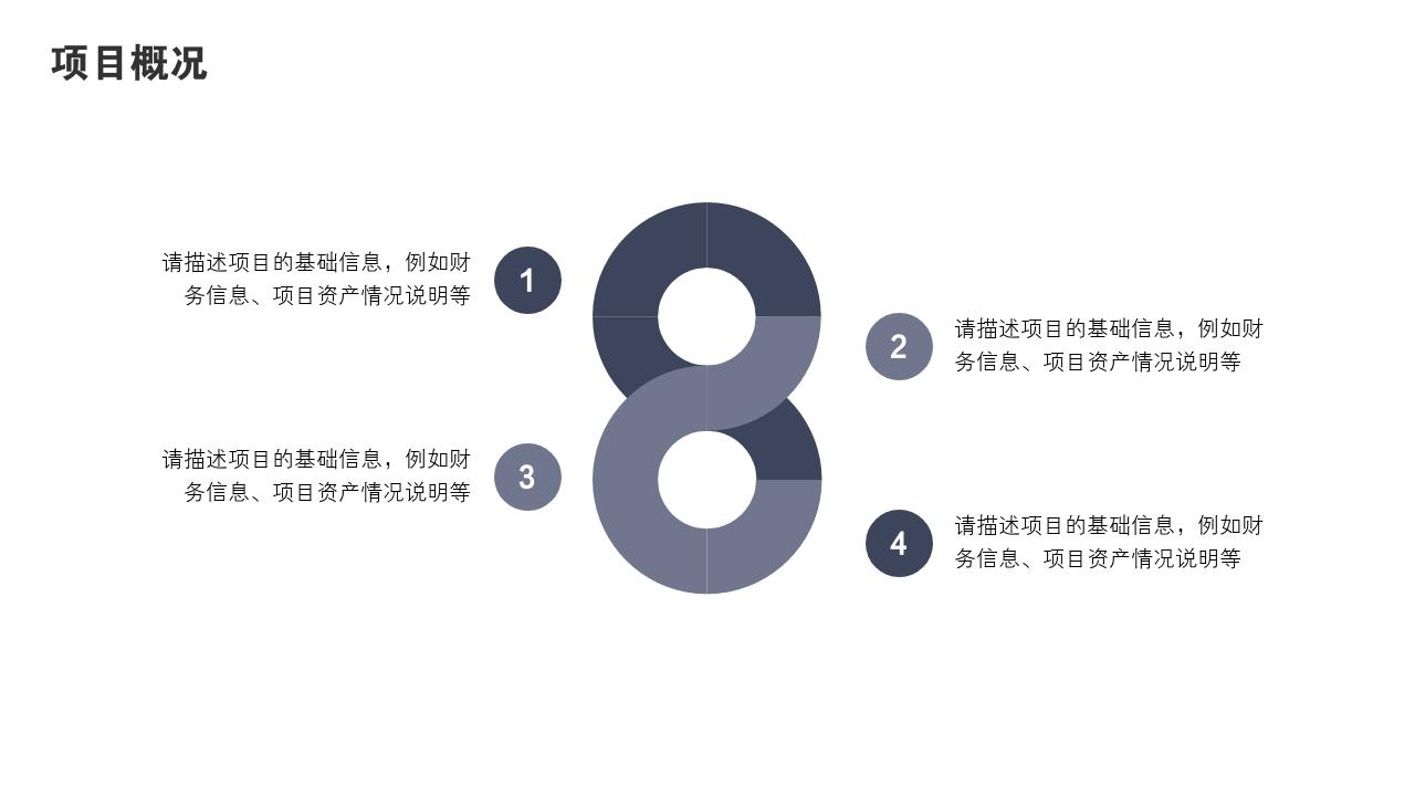 立体多边形项目可行性研究PPT模版-项目概况
