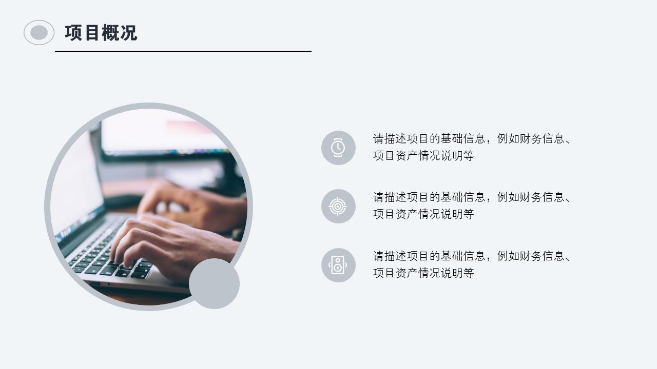 灰白商务项目可行性研究PPT模版-项目概况