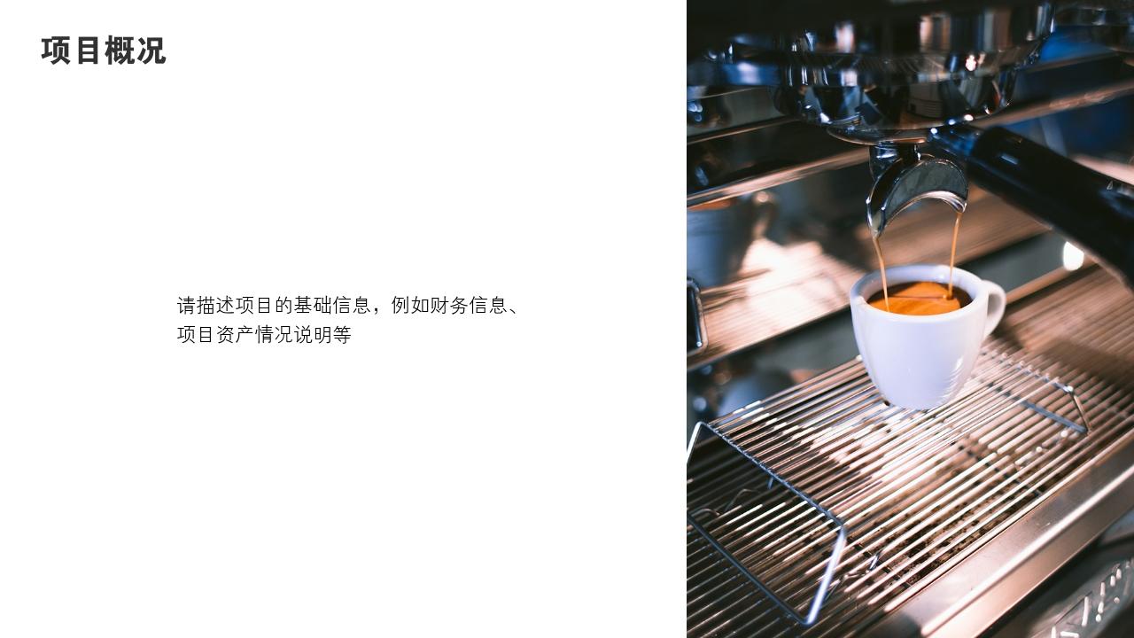 商务通用项目可行性研究PPT模版-项目概况