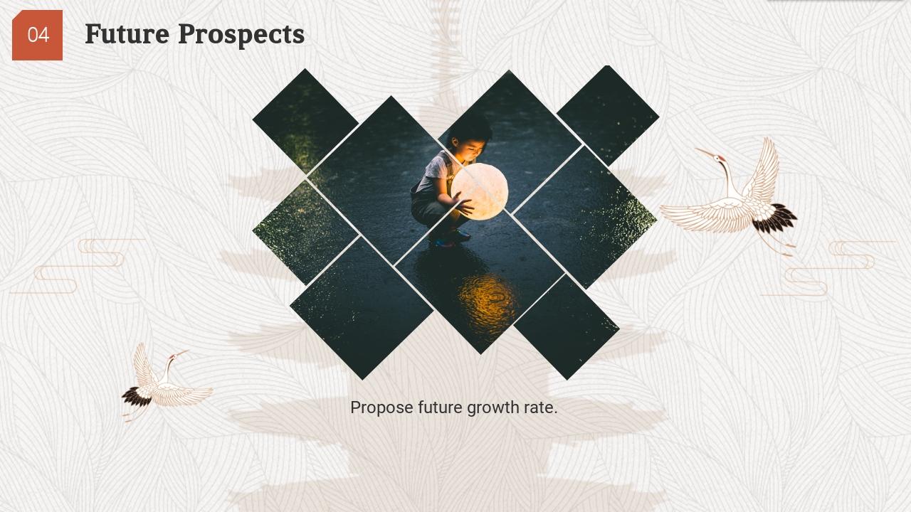 传统手工艺文化创业融资商业计划书PPT模板-Future Prospects