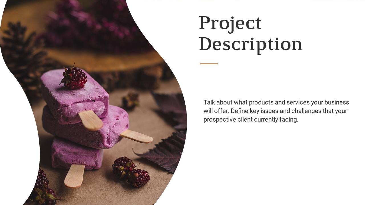 餐饮甜品饮料商业计划书PPT-Project Description