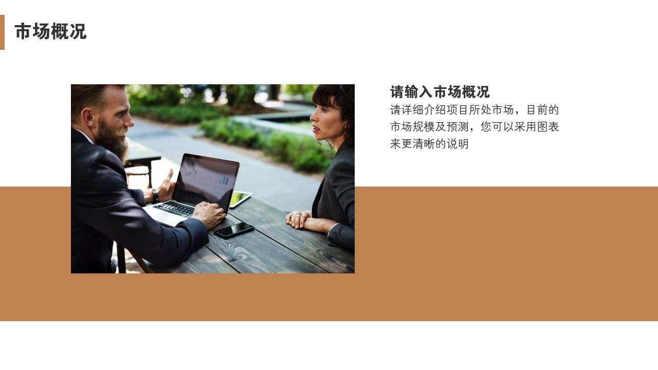 互联网股份制商业计划书模板-市场概况