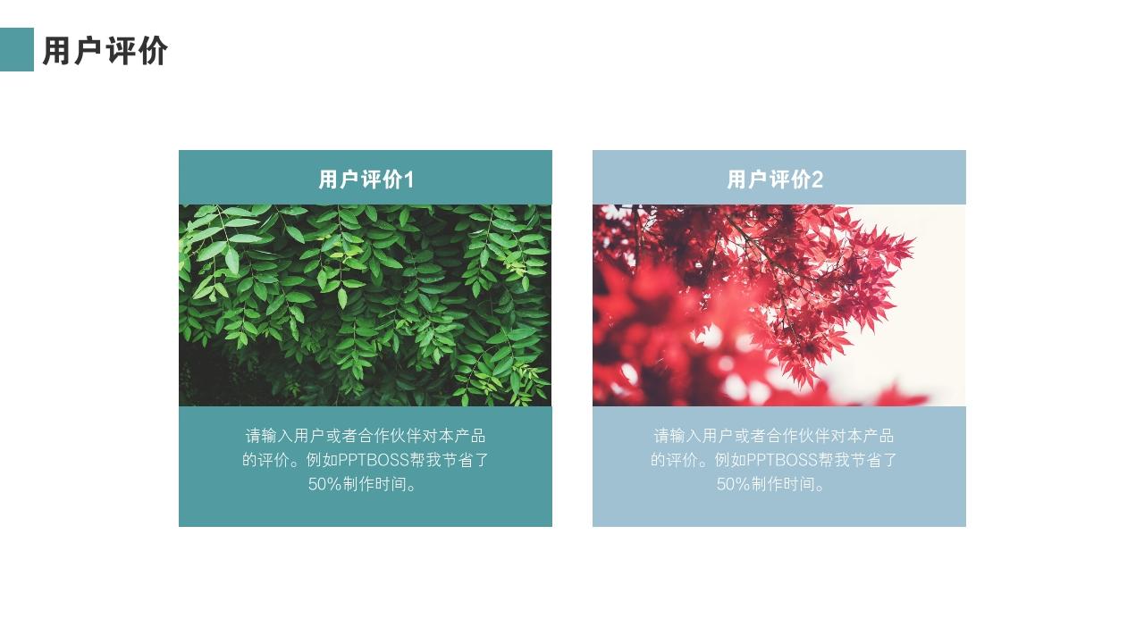 青色手绘花纹项目投资价值分析PPT模版-用户评价