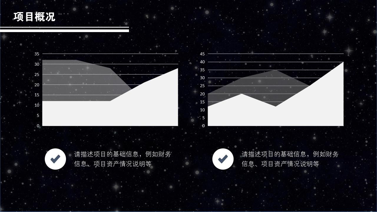 黑白星空项目可行性研究PPT模版-项目概况