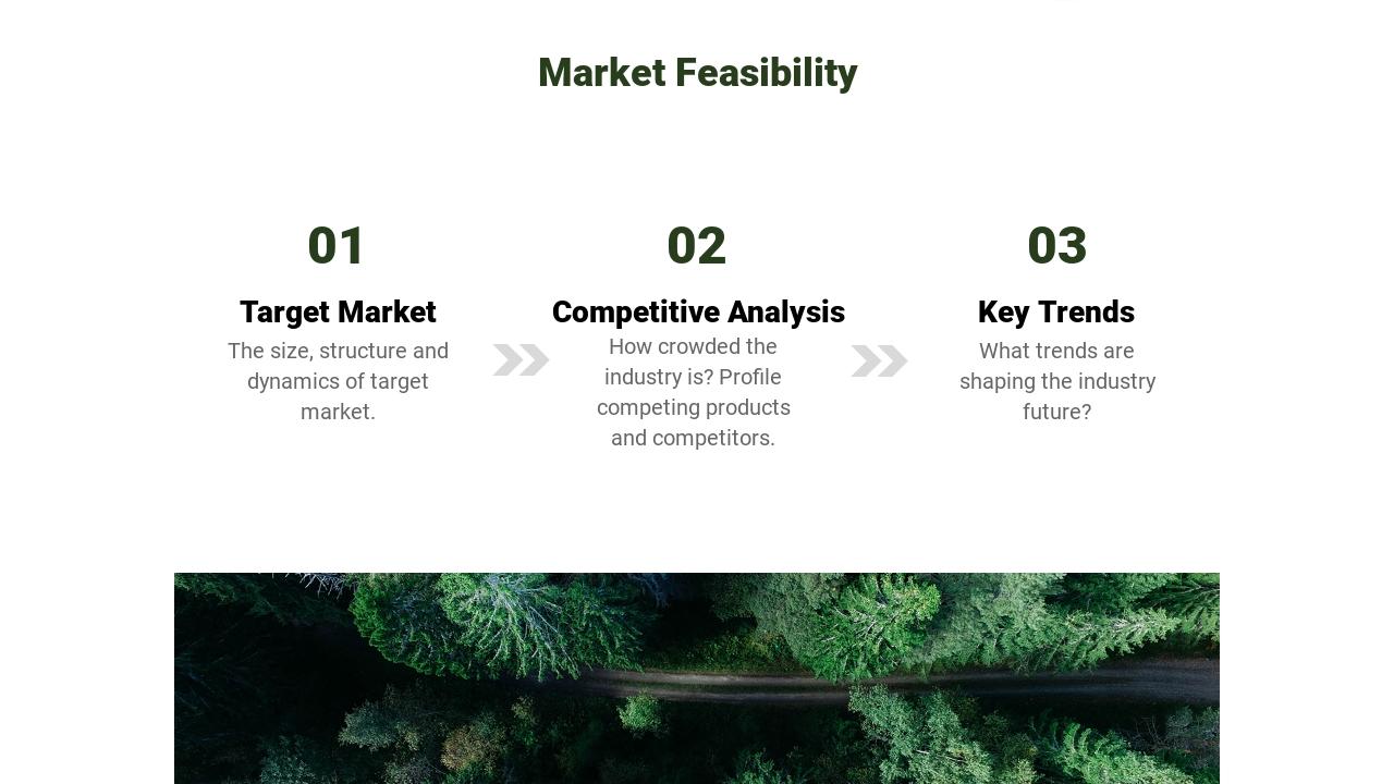 软件可行性分析研究报告PPT模板-Market Feasibility